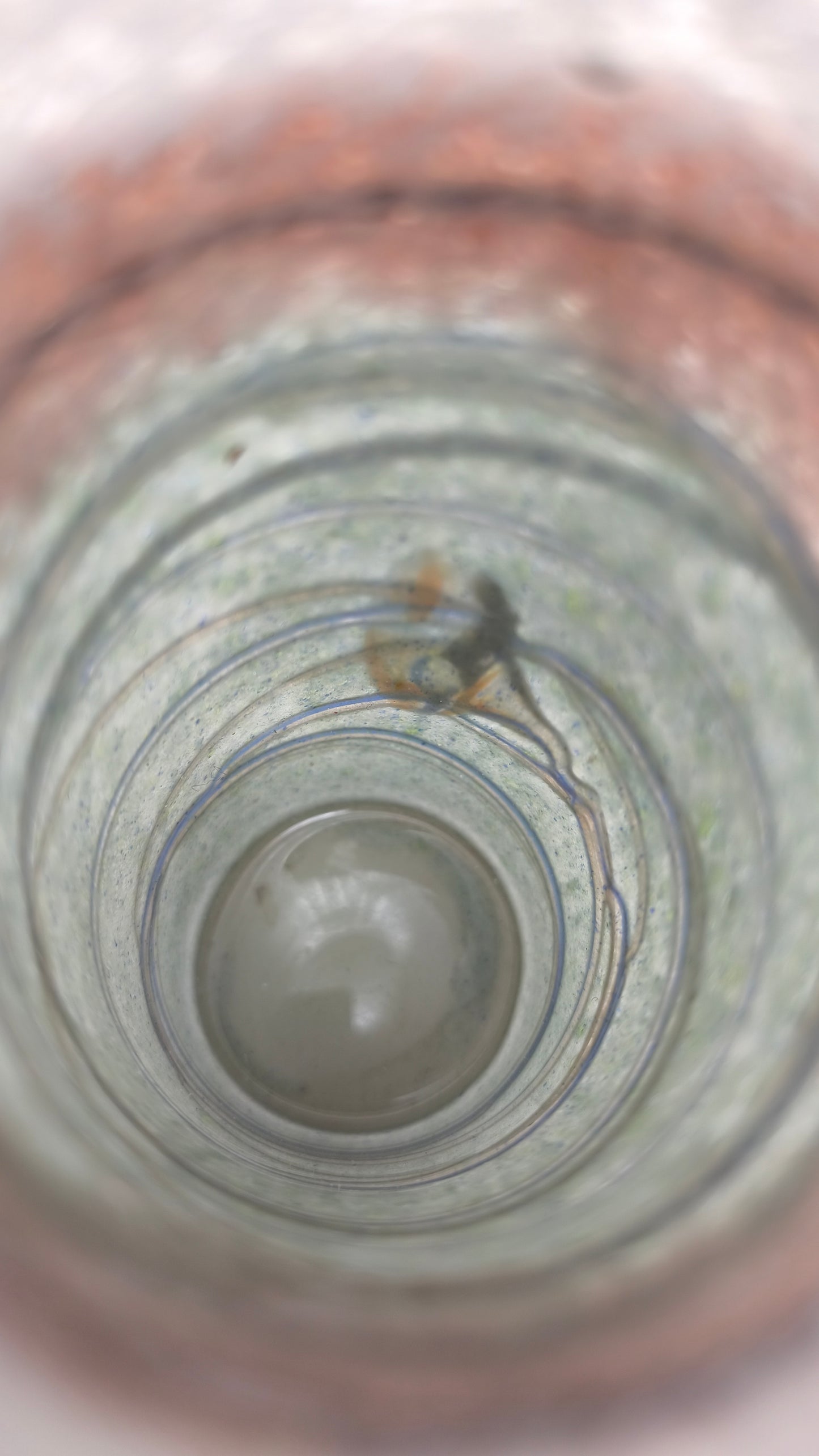 77800 Vaso in vetro cilindrico con decorazioni in vari colori
