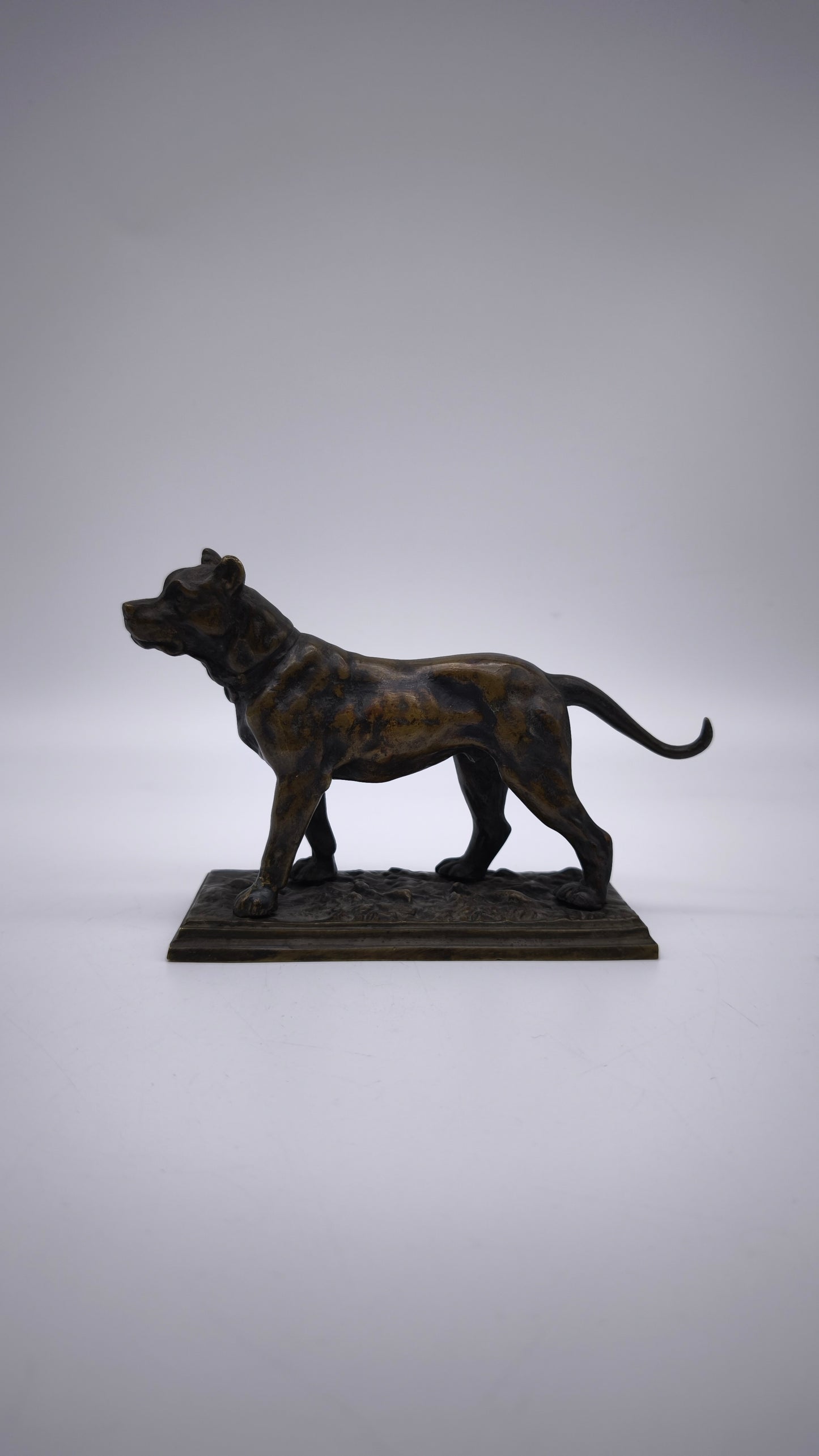 78837 Statuina cane in bronzo