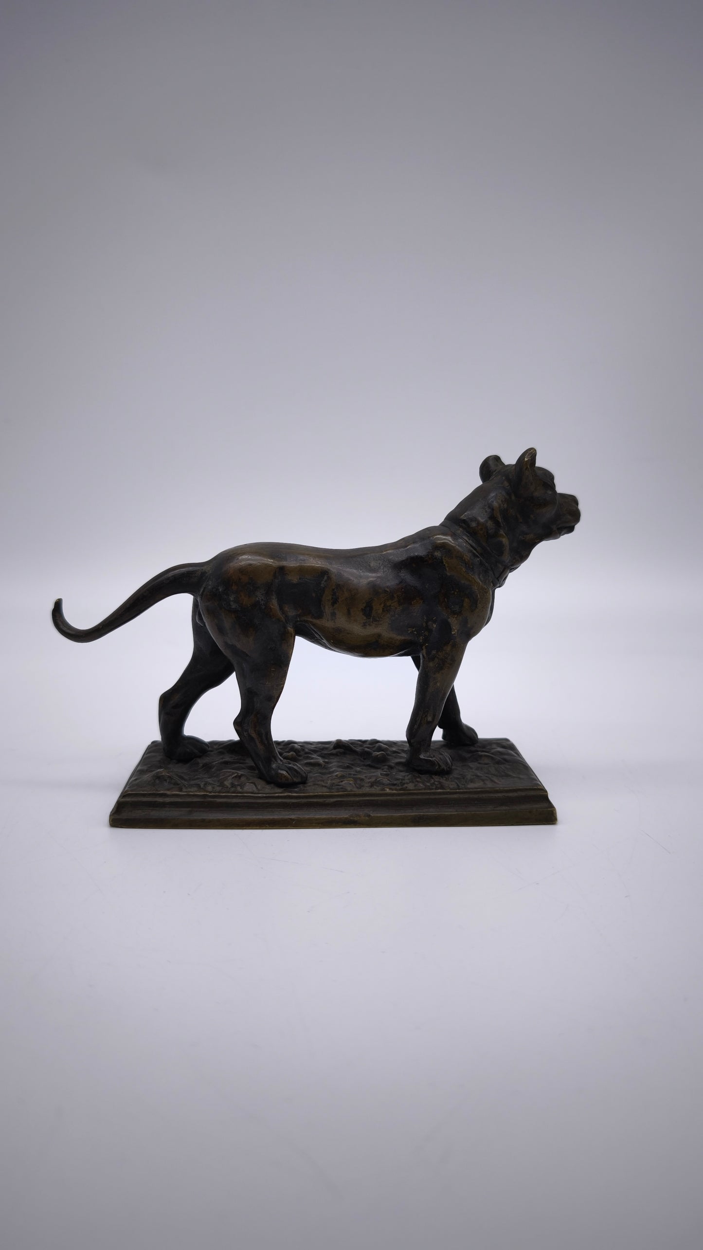 78837 Statuina cane in bronzo