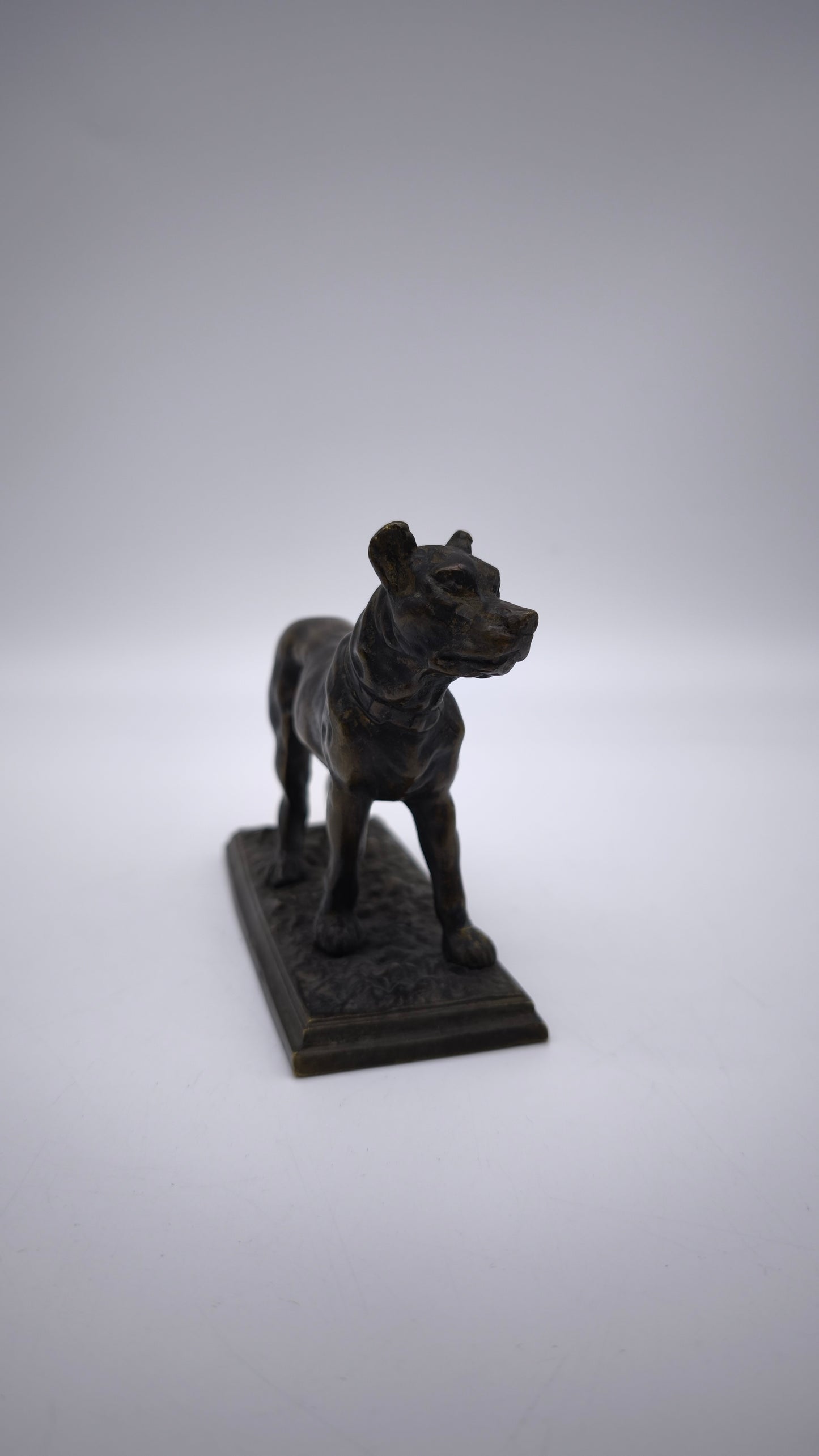 78837 Statuina cane in bronzo