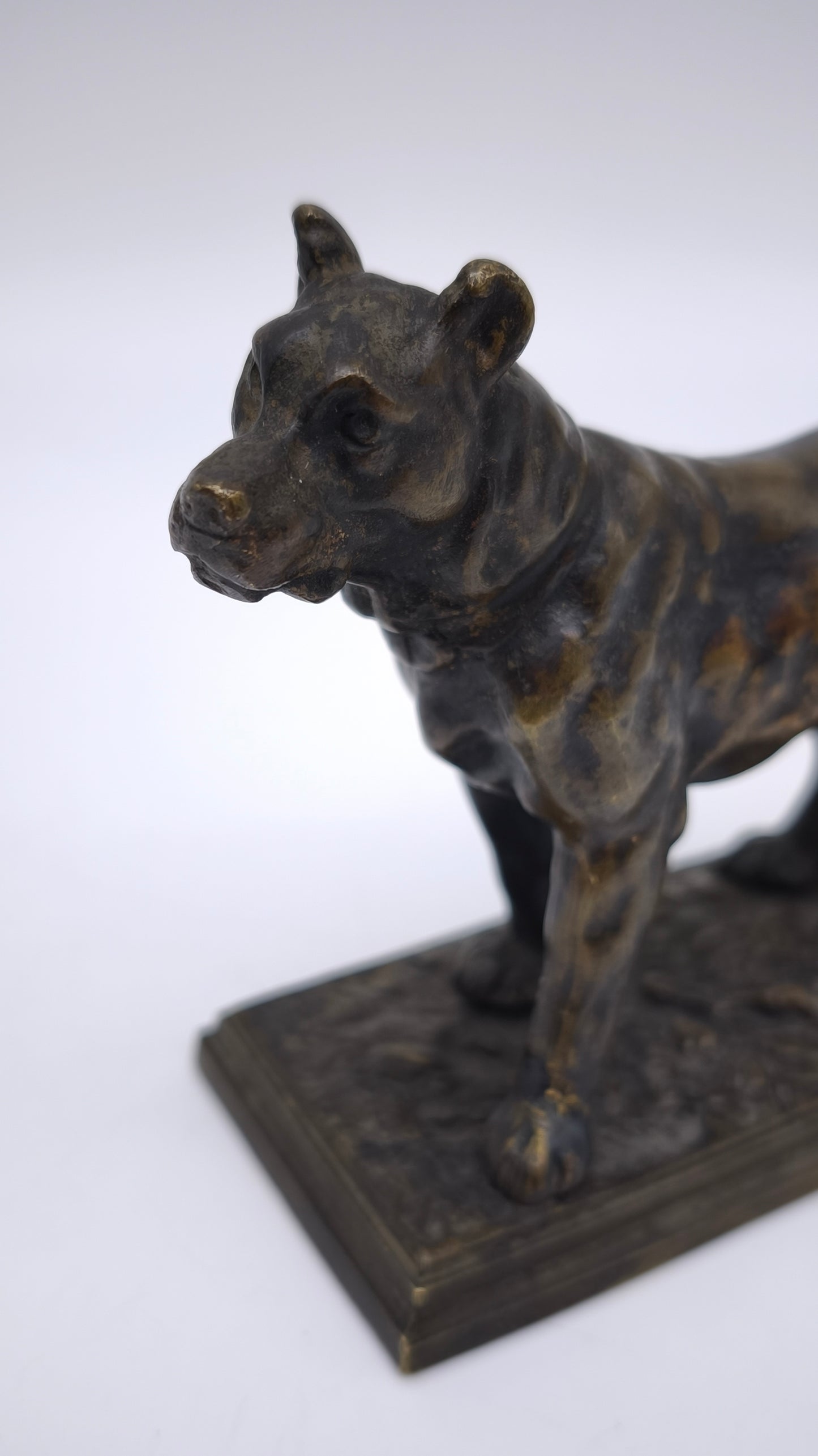 78837 Statuina cane in bronzo
