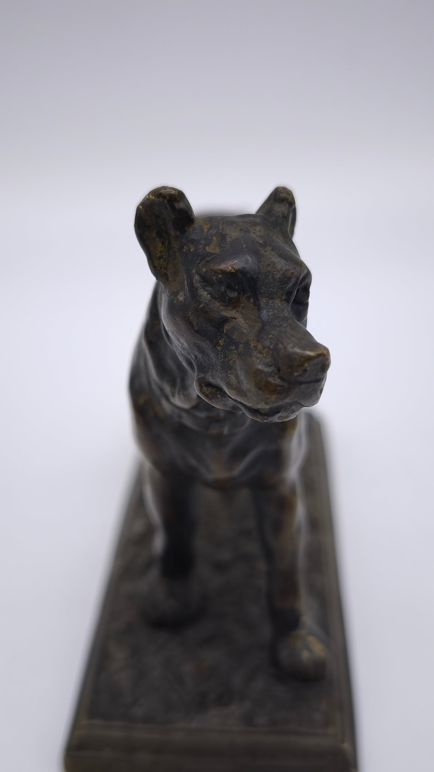 78837 Statuina cane in bronzo