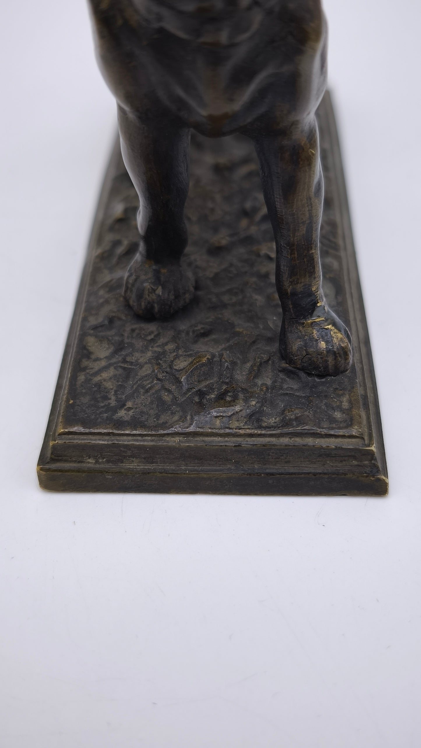 78837 Statuina cane in bronzo