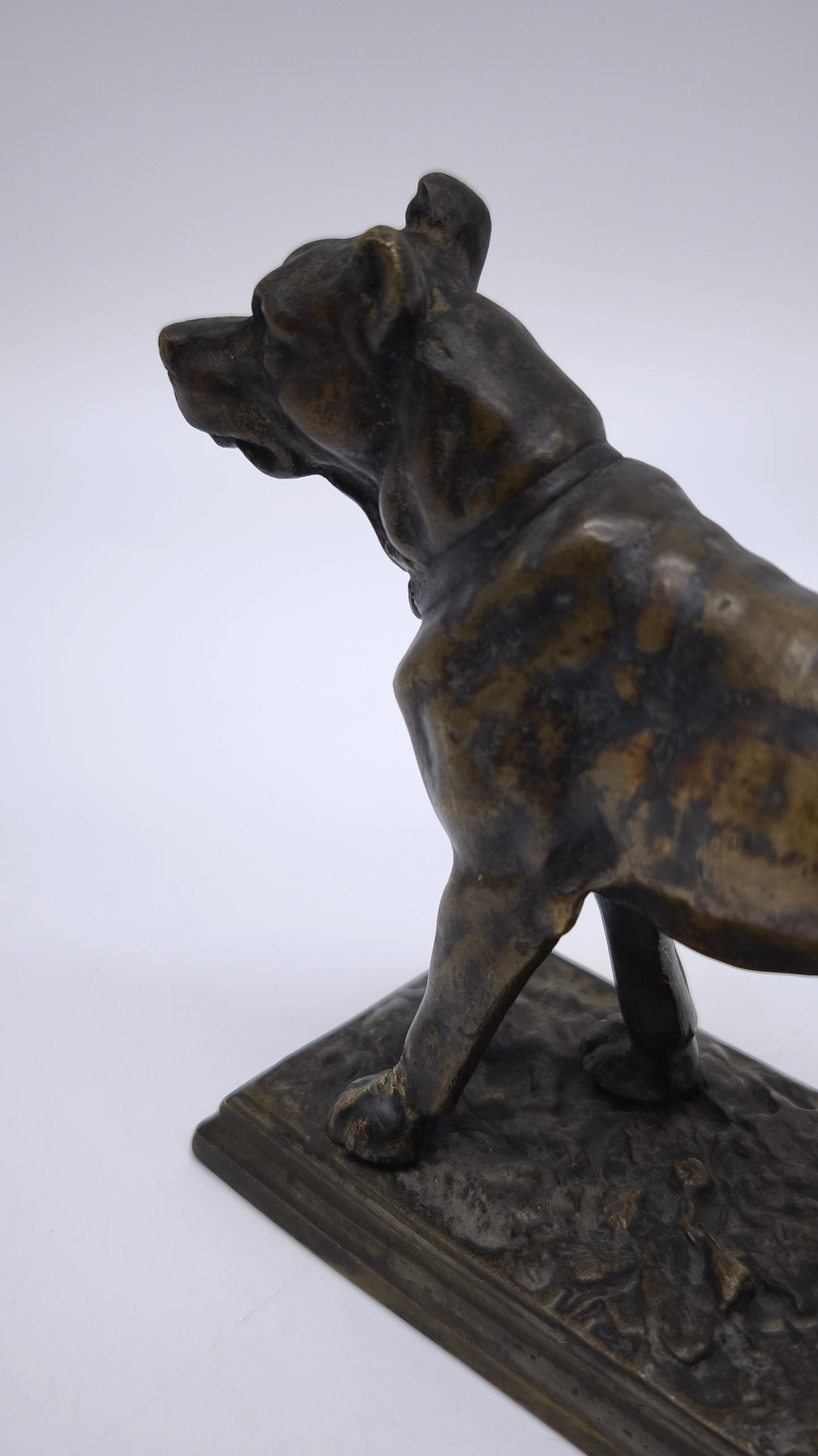 78837 Statuina cane in bronzo