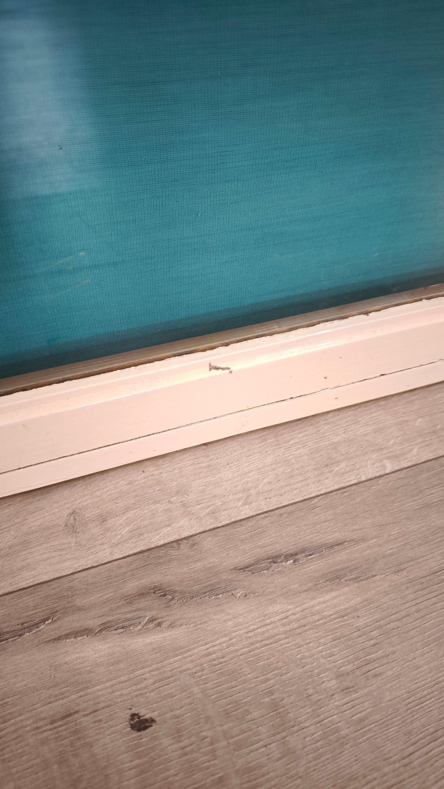 79199 Bacheca in legno con cornice bianca
