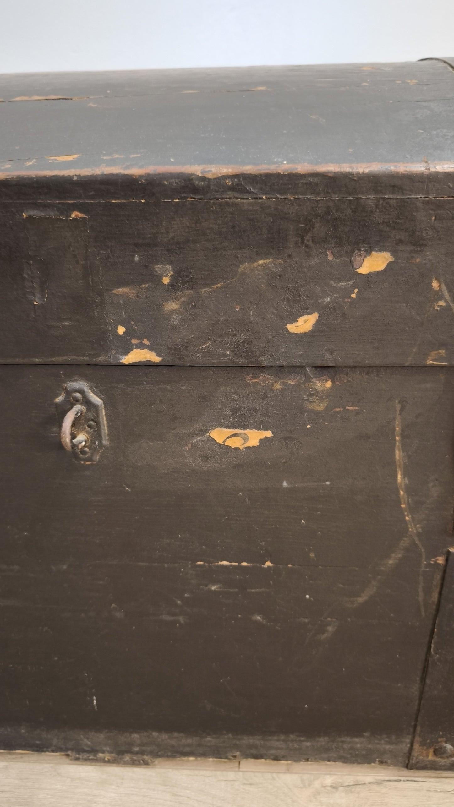 81527 Baule bombato in legno marrone