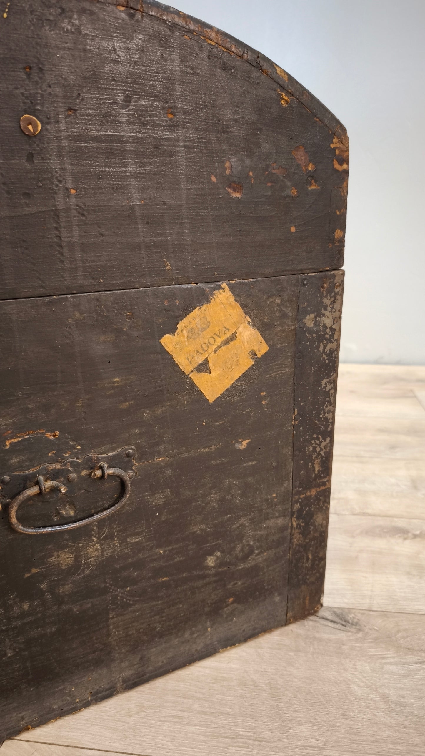 81527 Baule bombato in legno marrone
