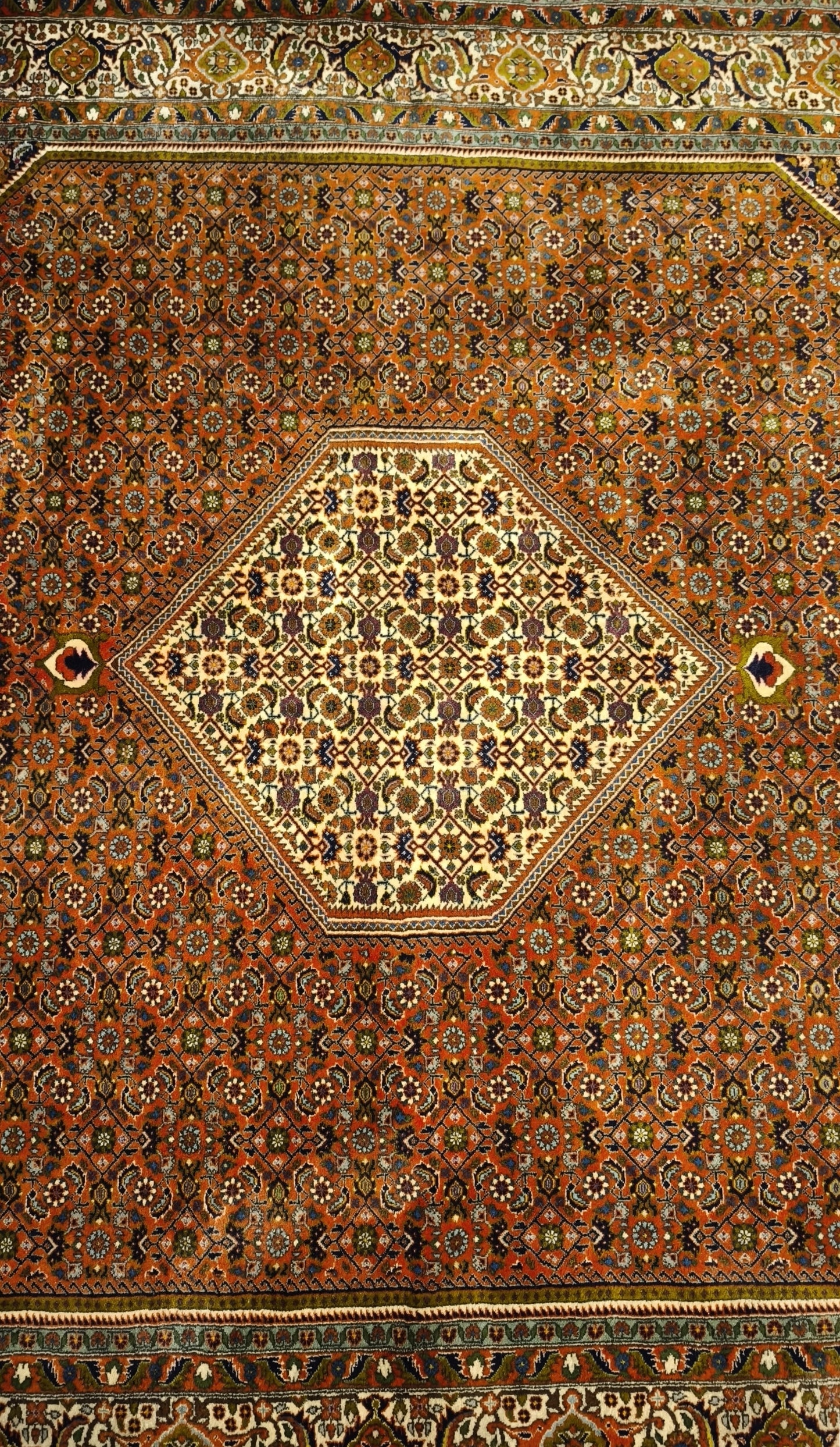 81539 Tappeto persiano Bidjar con decorazione floreale