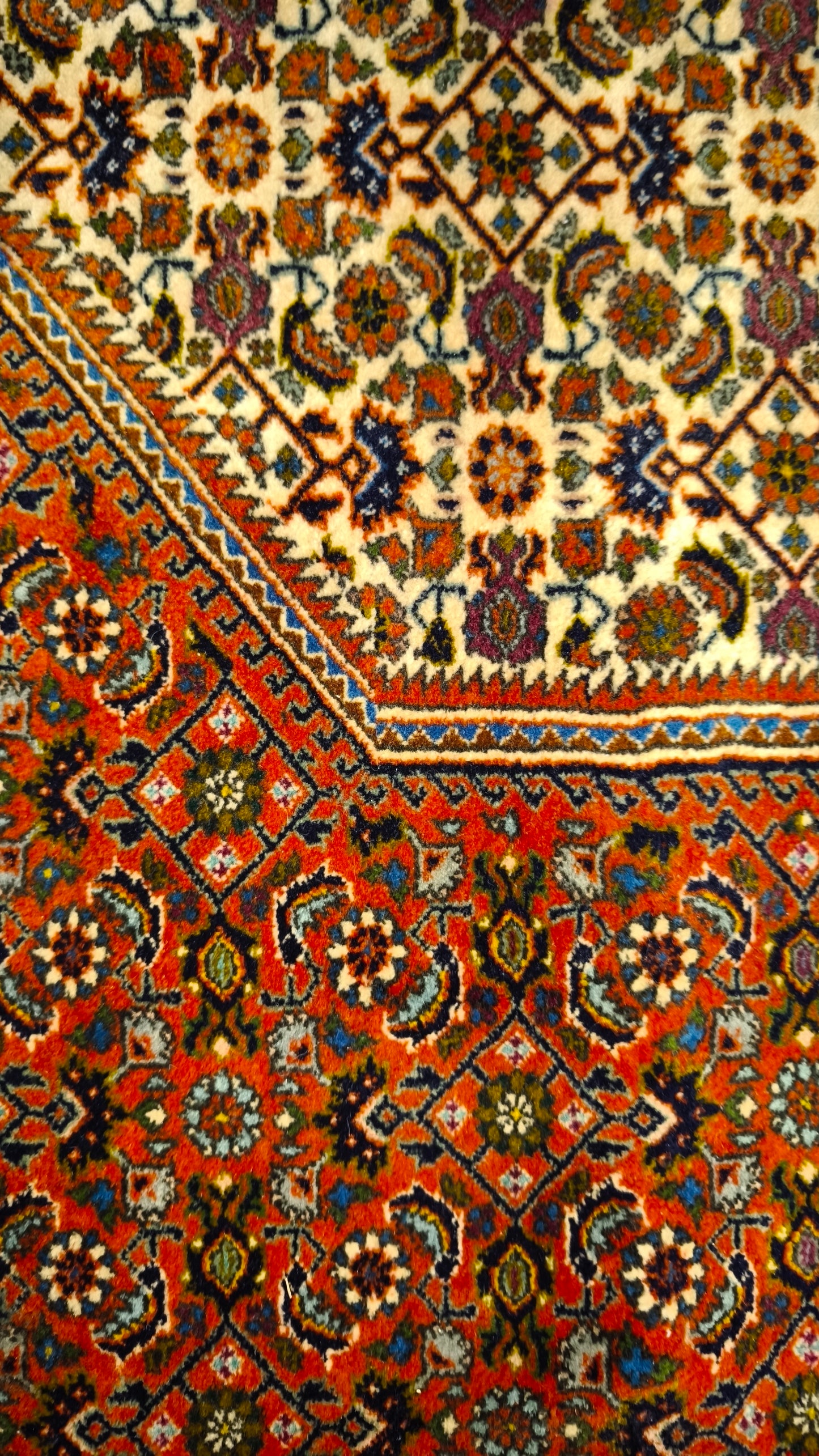 81539 Tappeto persiano Bidjar con decorazione floreale