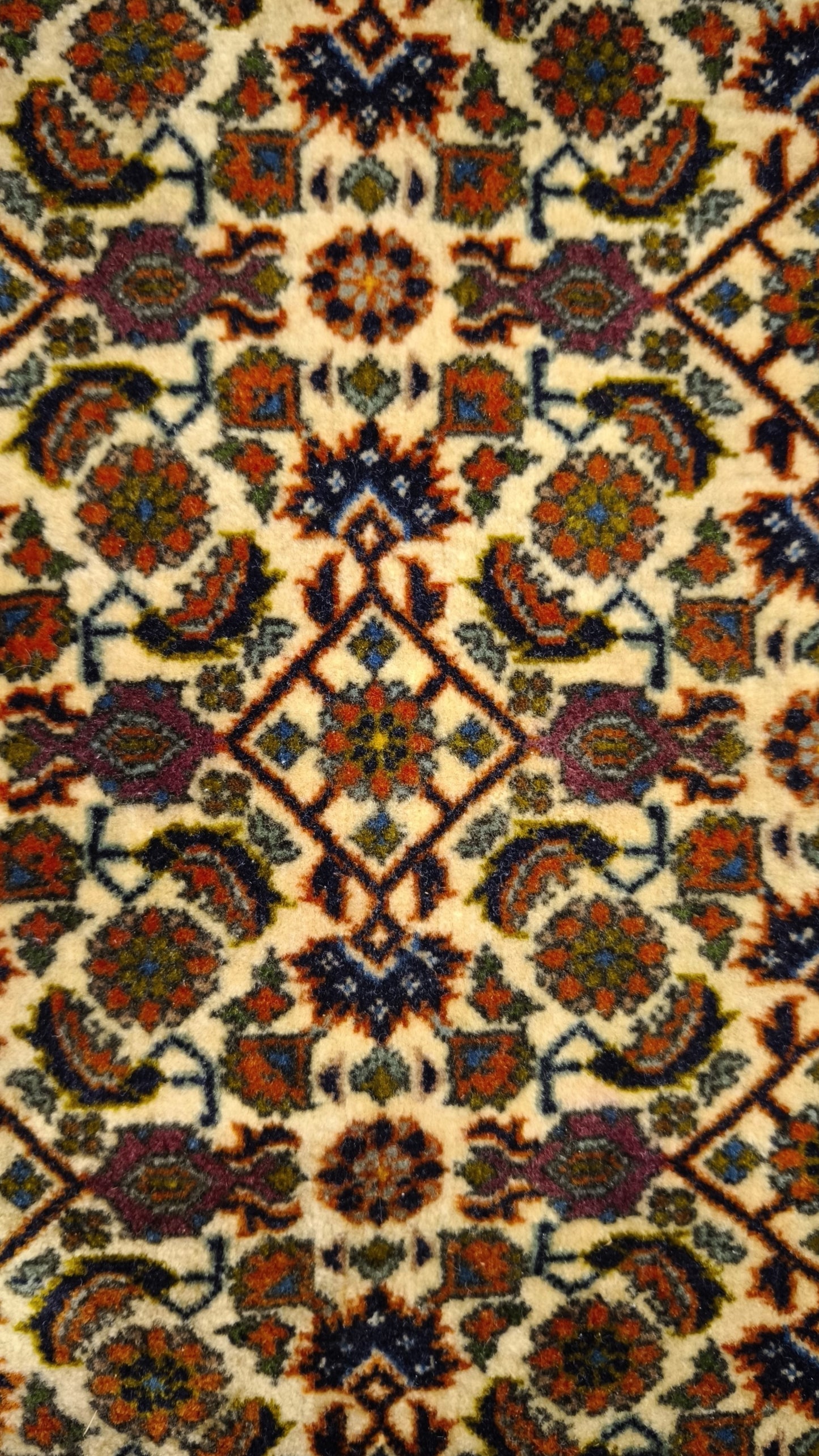 81539 Tappeto persiano Bidjar con decorazione floreale