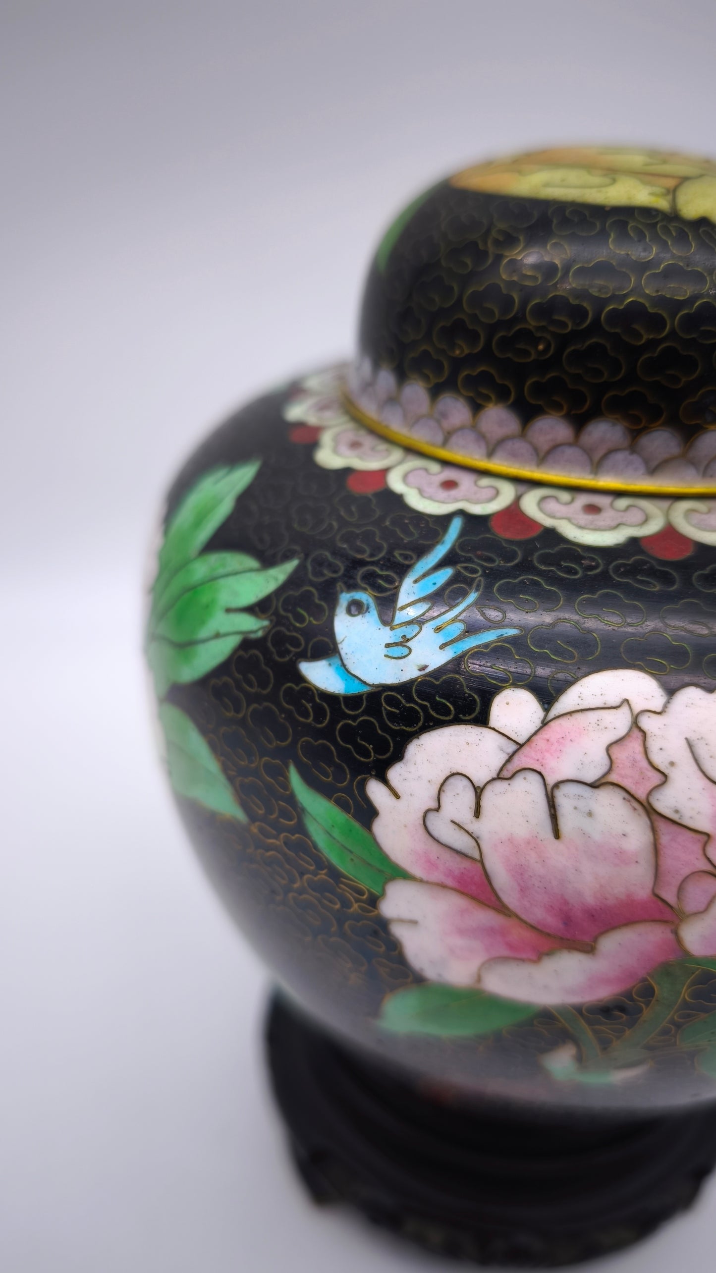 81612-2 Potiche cloisonné con base in legno nero
