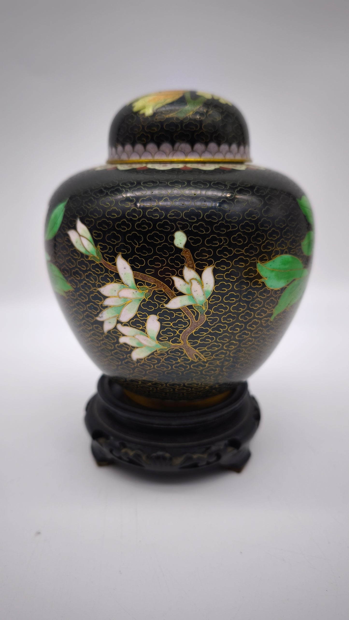 81612-2 Potiche cloisonné con base in legno nero