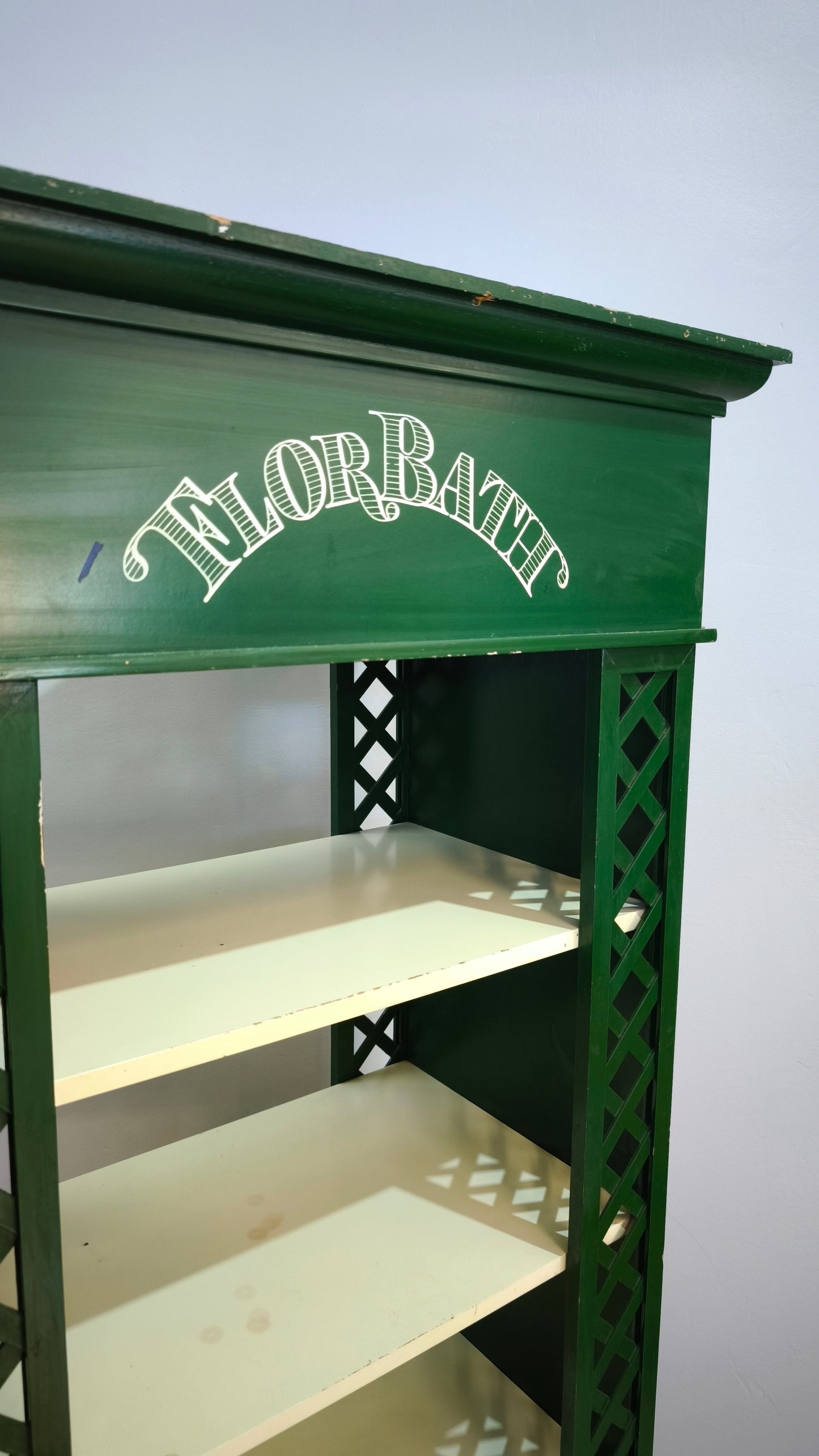 81846 Libreria verde 'Florbath'