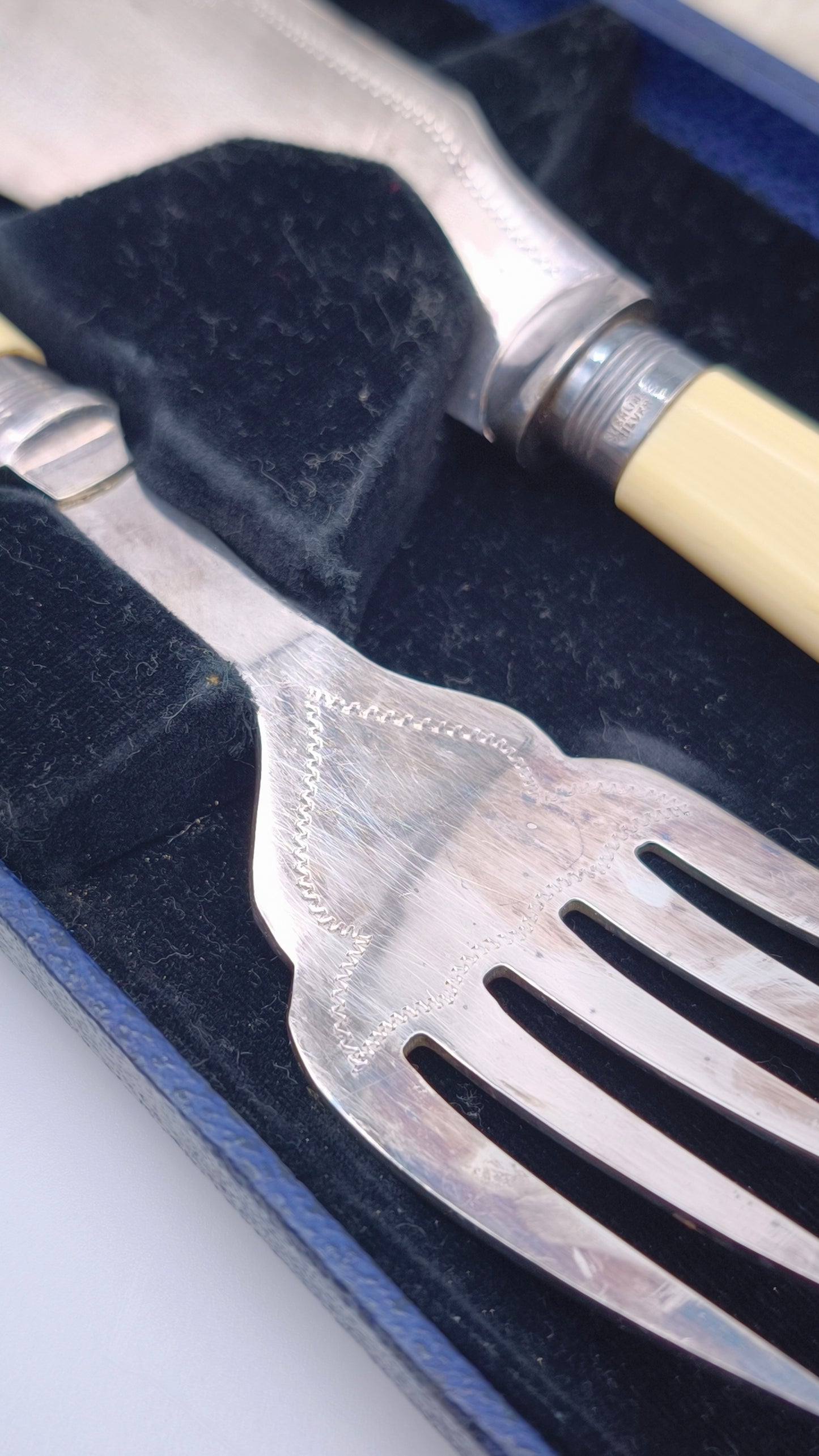 82141 Coppia di posate silver plated da portata da pesce