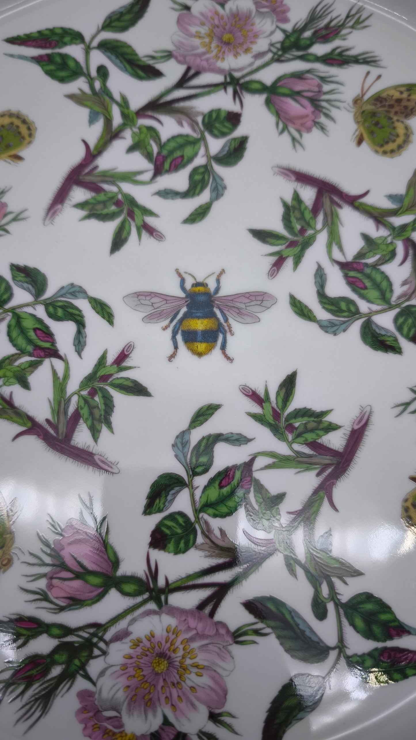 82524 Pirofila Portmeirion in ceramica decorata