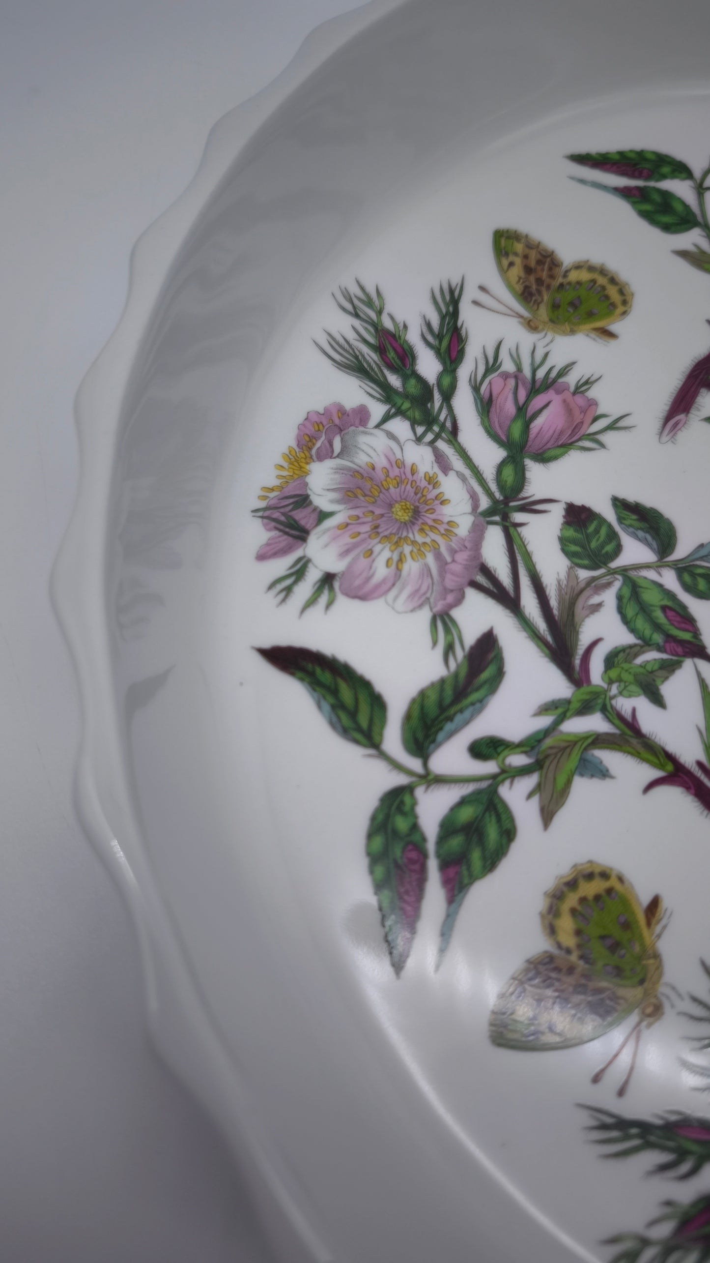 82524 Pirofila Portmeirion in ceramica decorata