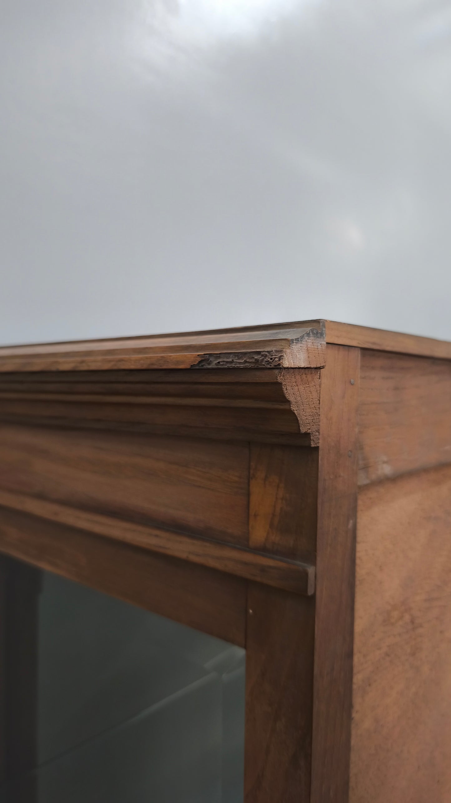 83264 Vetrina in legno un'anta con ripiani in vetro