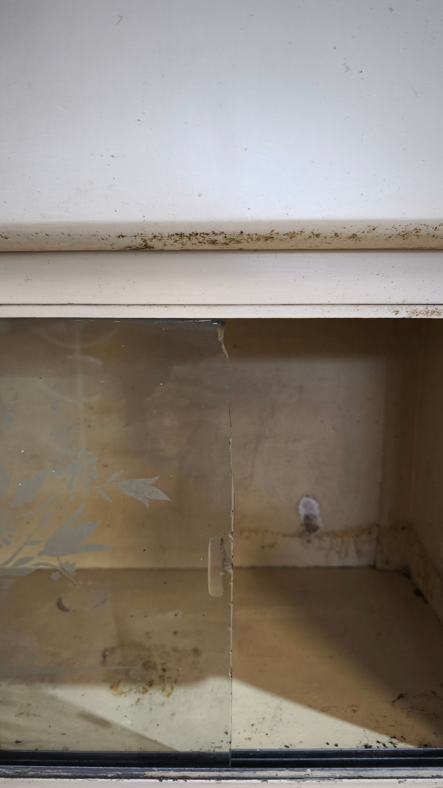 83270 Credenza due sportelli anni '50 color panna