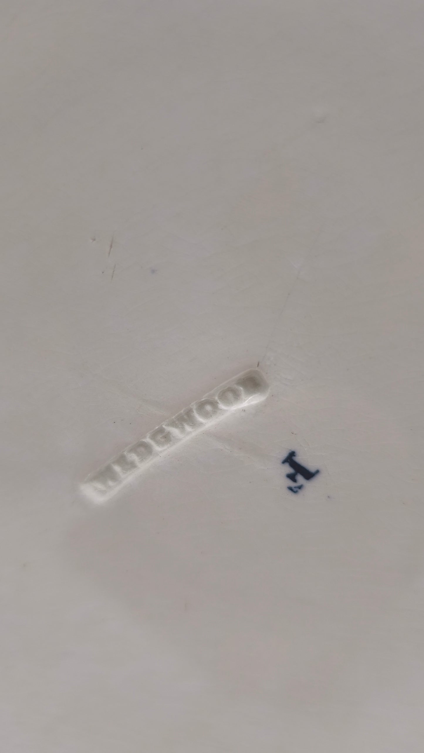 84207 Vassoio in ceramica decorata Wedgwood