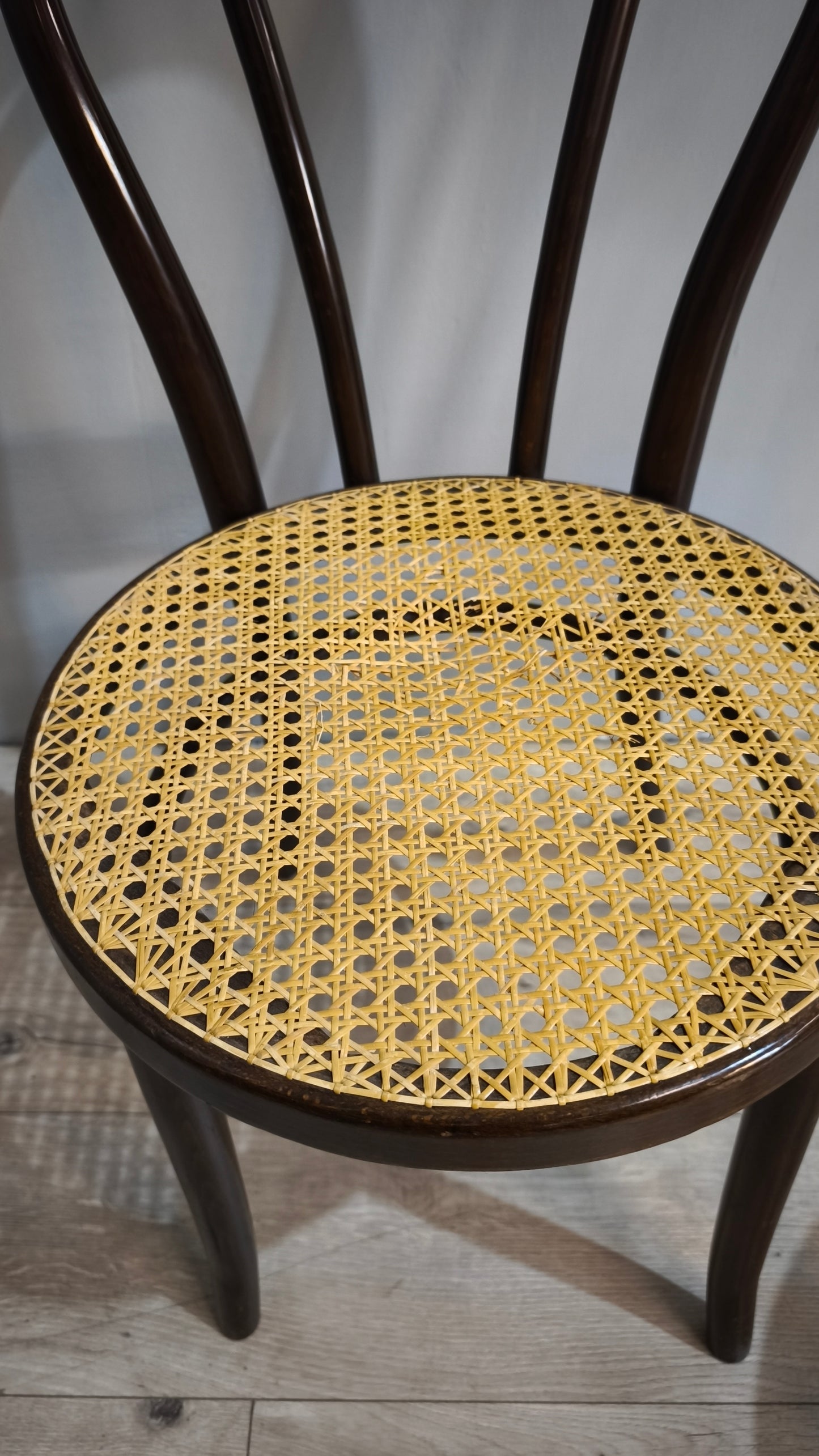84914 Sedia tipo Thonet