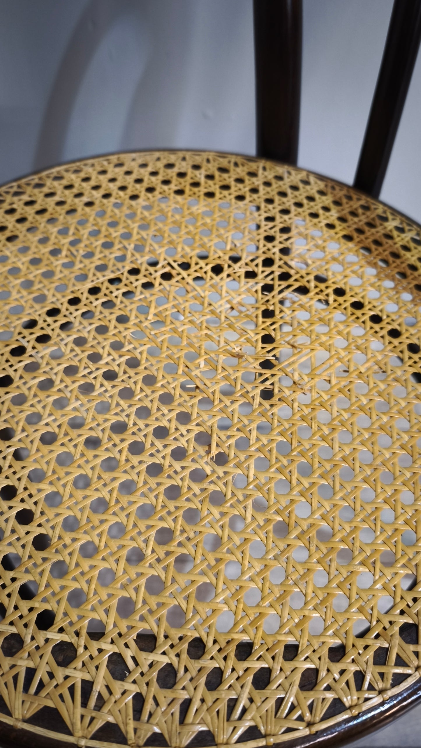 84914 Sedia tipo Thonet