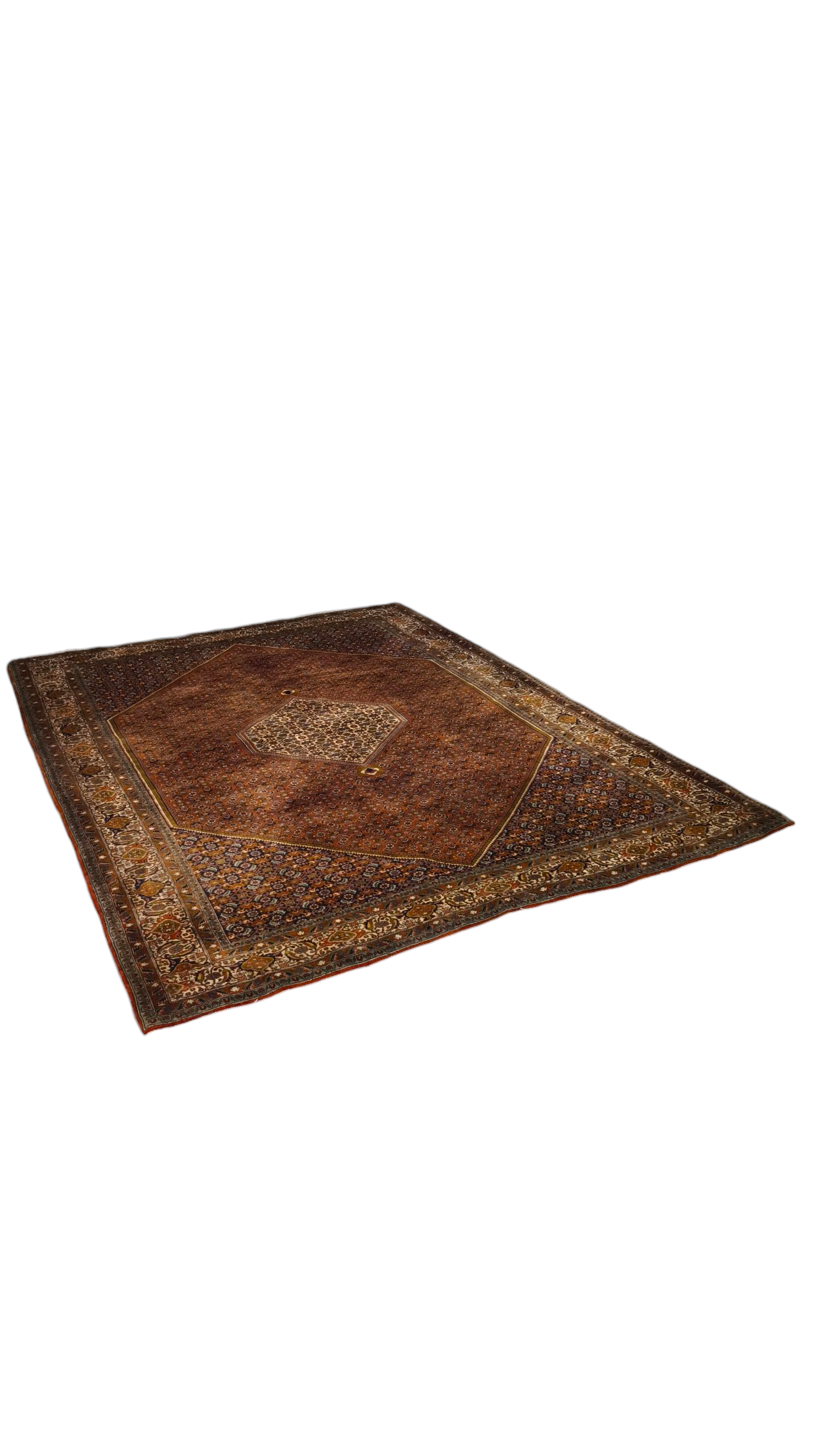81539 Tappeto persiano Bidjar con decorazione floreale