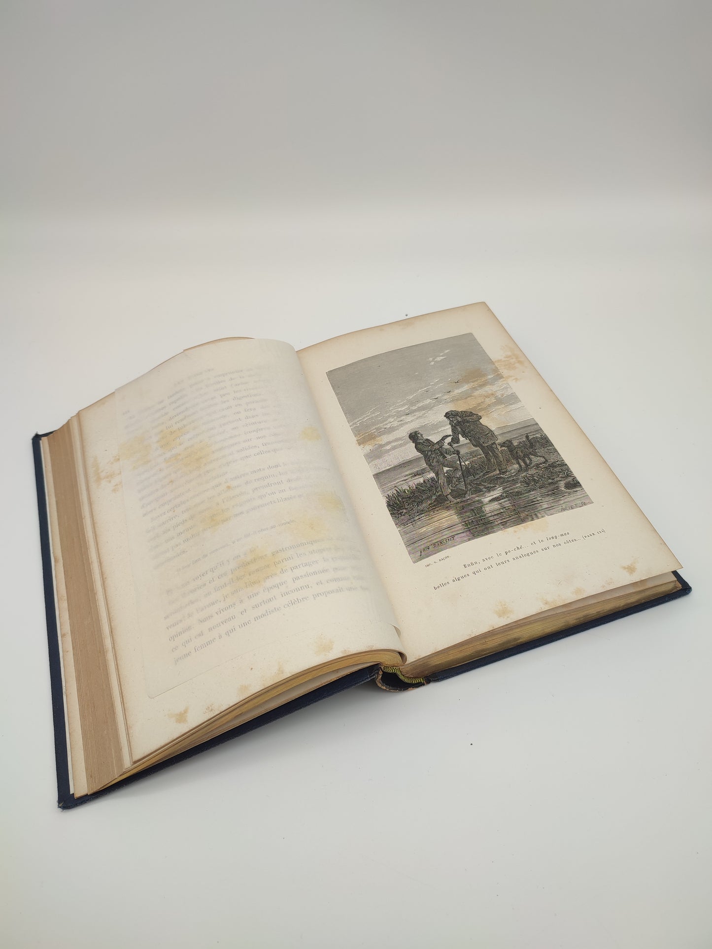 Libro di S. Henry Berthoud, Les Hotes du logis, Paris 1867