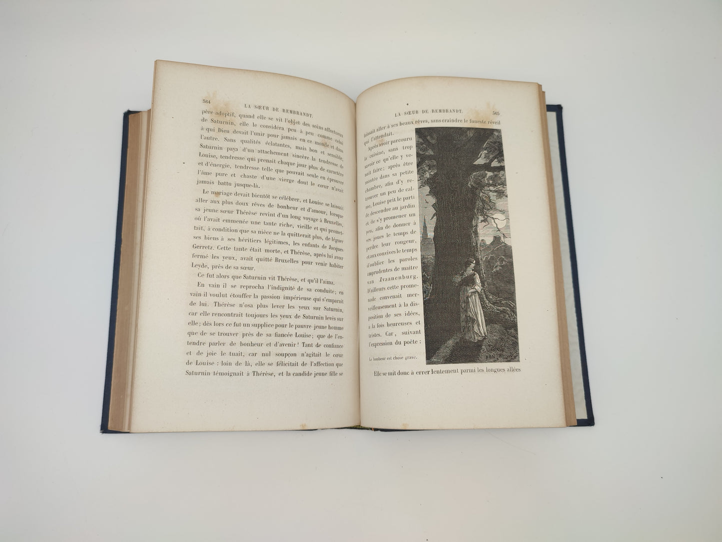Libro di S. Henry Berthoud, Les Hotes du logis, Paris 1867