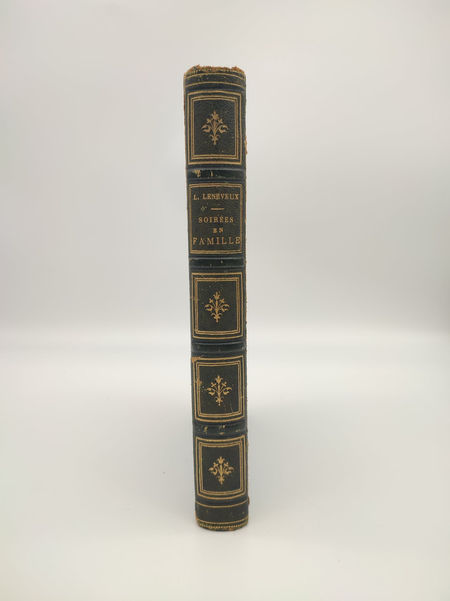 Libro di Mme Louise Leneveux, Soirées en famille, Paris