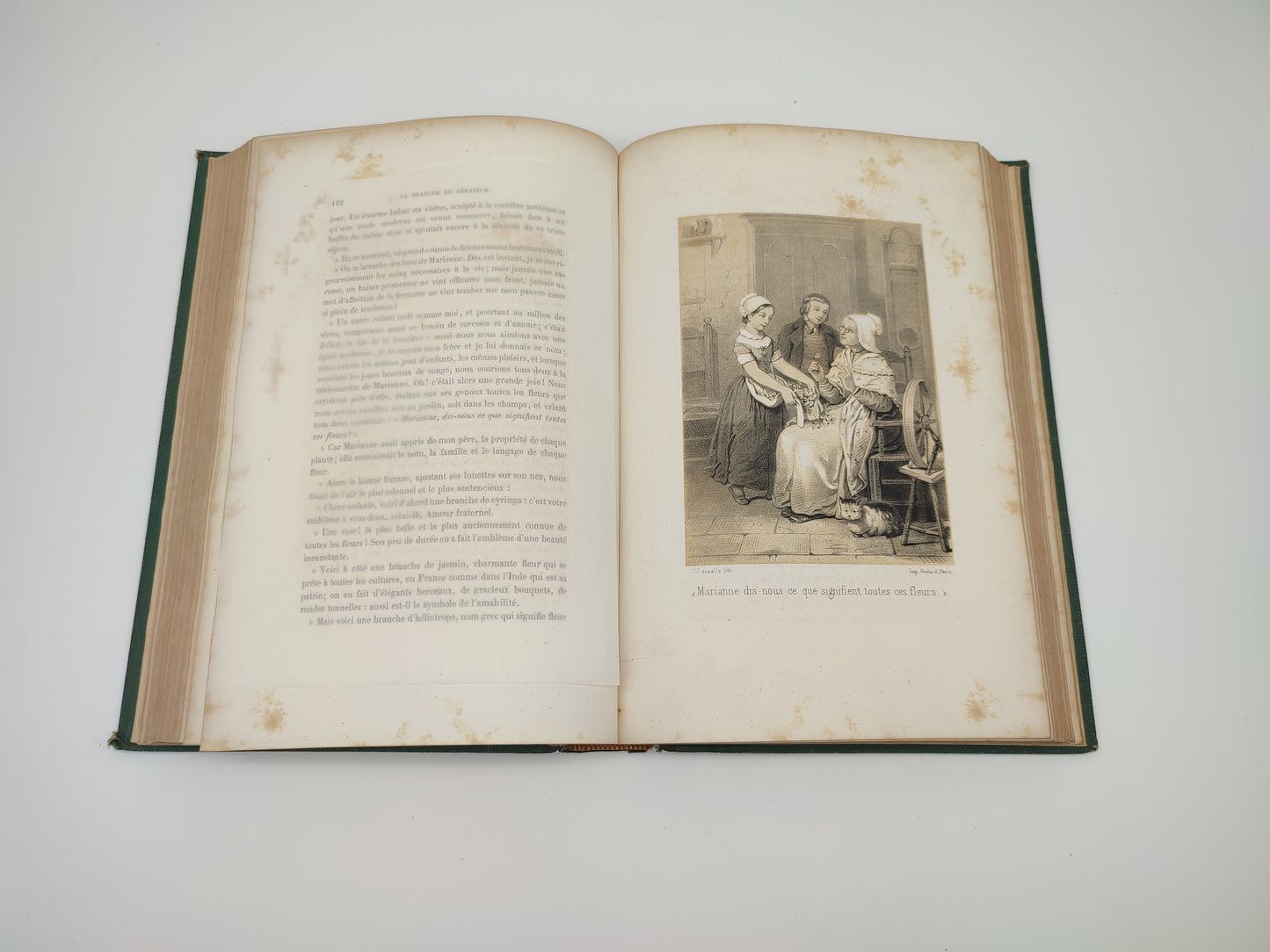 Libro di Mme Louise Leneveux, Soirées en famille, Paris