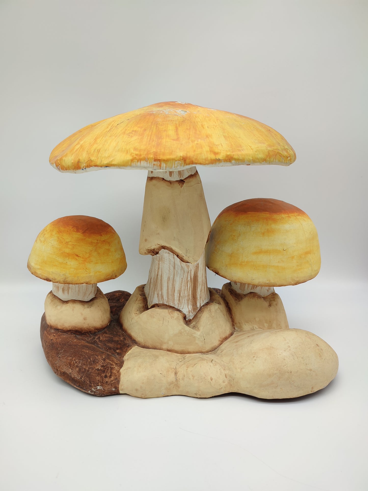 56737 Riproduzione funghi ovuli in cartapesta