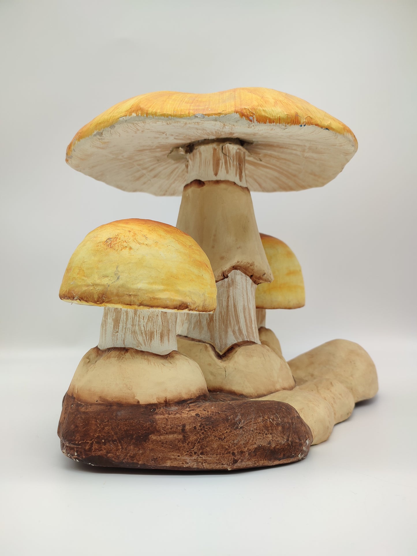 56737 Riproduzione funghi ovuli in cartapesta