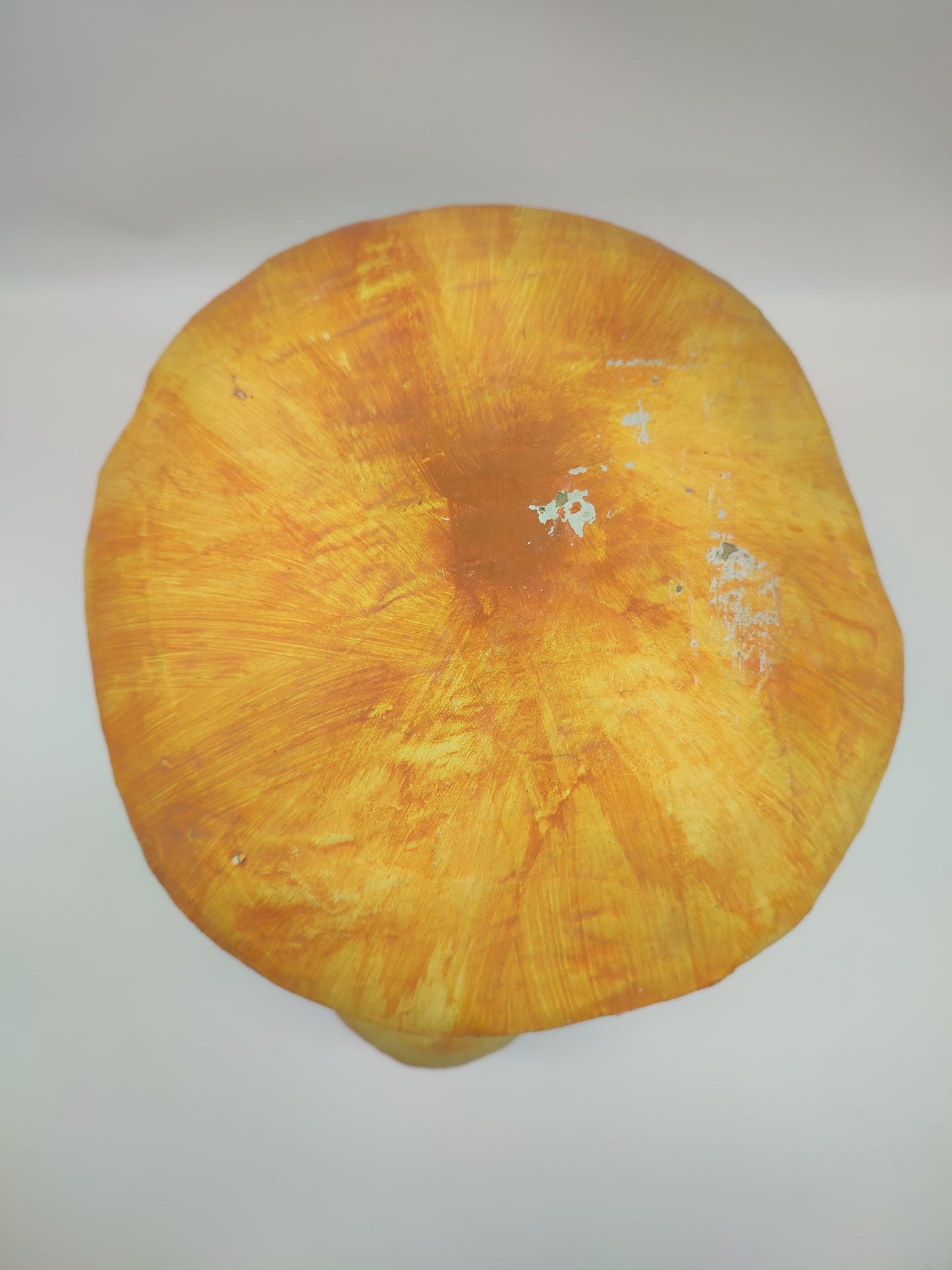 56737 Riproduzione funghi ovuli in cartapesta