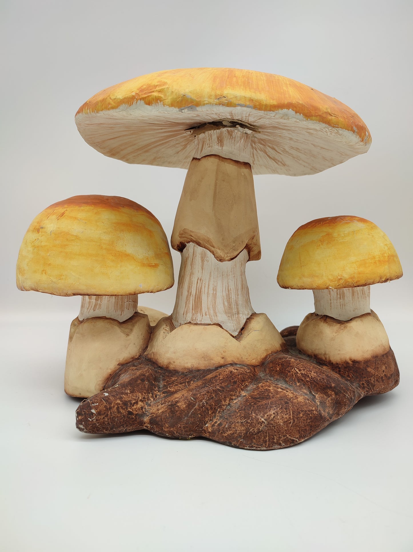 56737 Riproduzione funghi ovuli in cartapesta
