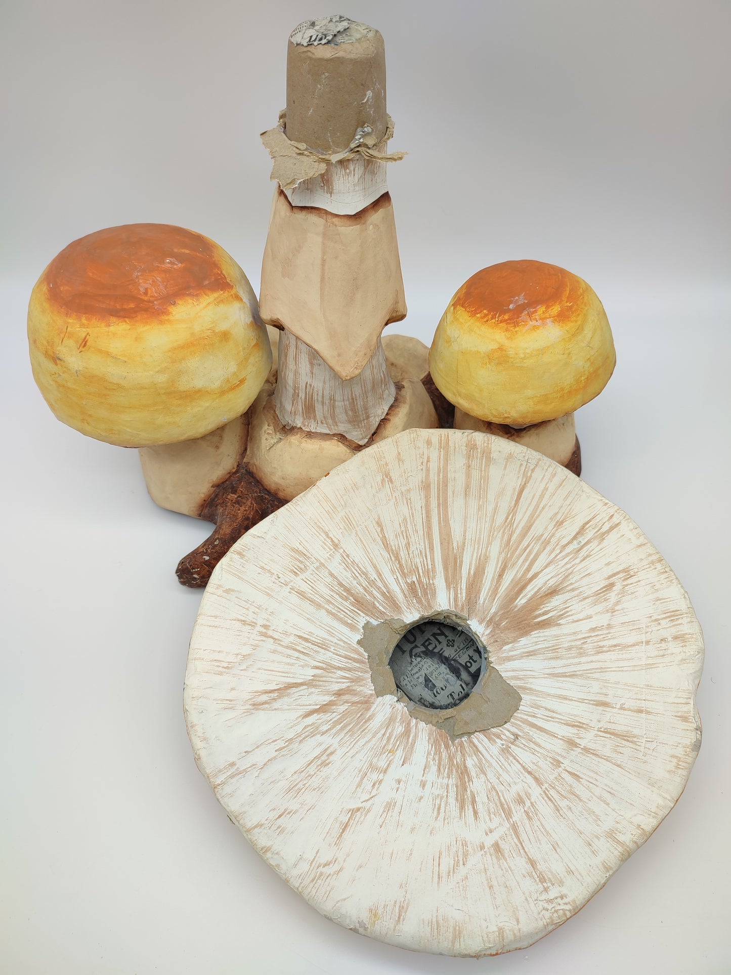 56737 Riproduzione funghi ovuli in cartapesta