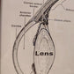 49309 Tavola anatomica occhio