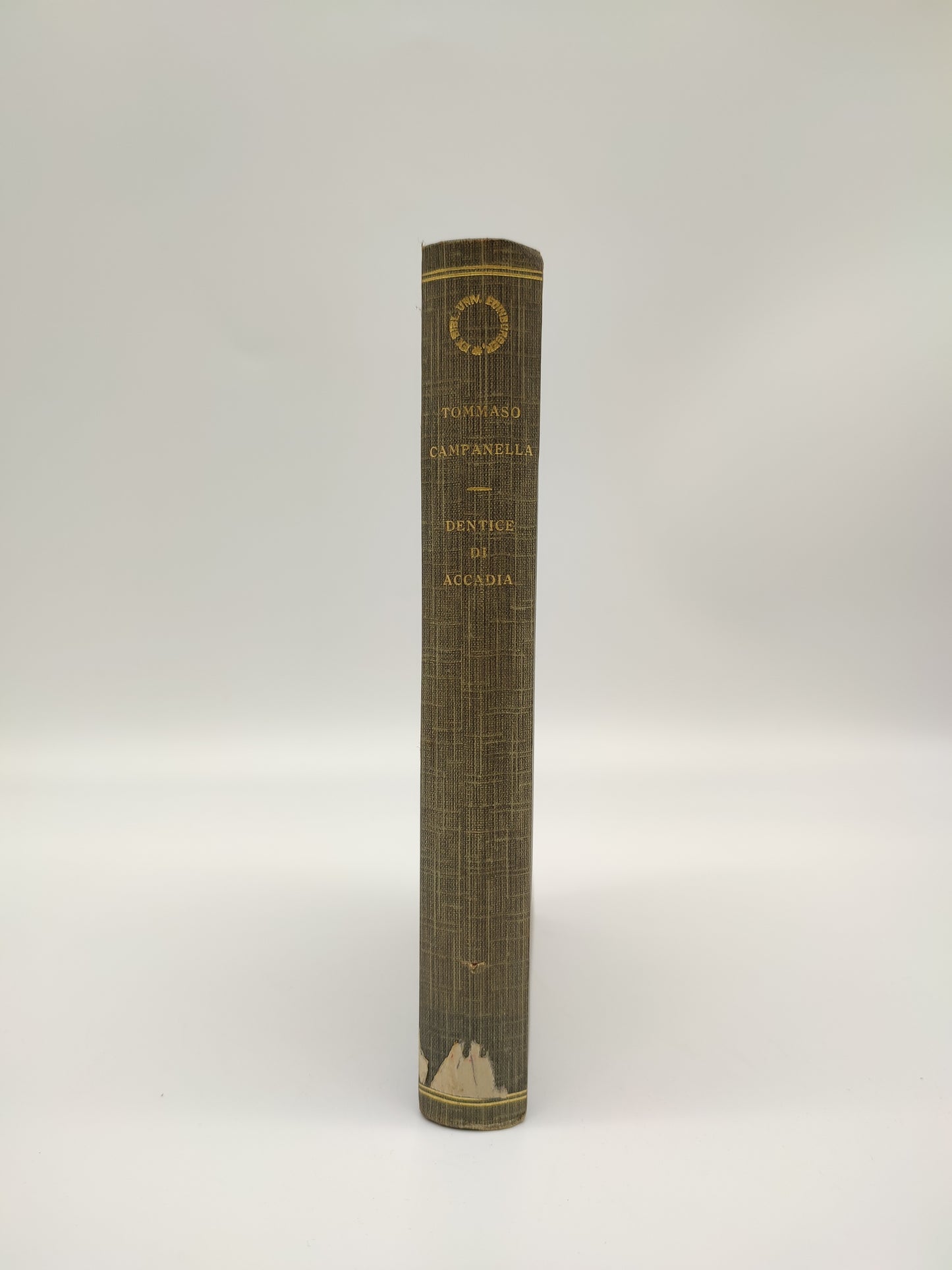 69798 Tommaso Campanella, C. Dentice di Accadia, Vallecchi Editore Firenze, 1921