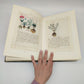 69947 Libro 'Libellus de medicinalibus indorum herbis', Martin de la Cruz