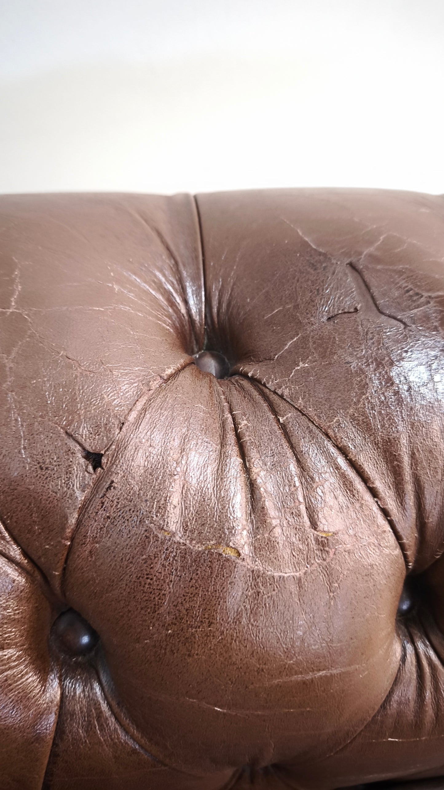 79975 Poltrona Chester in pelle marrone