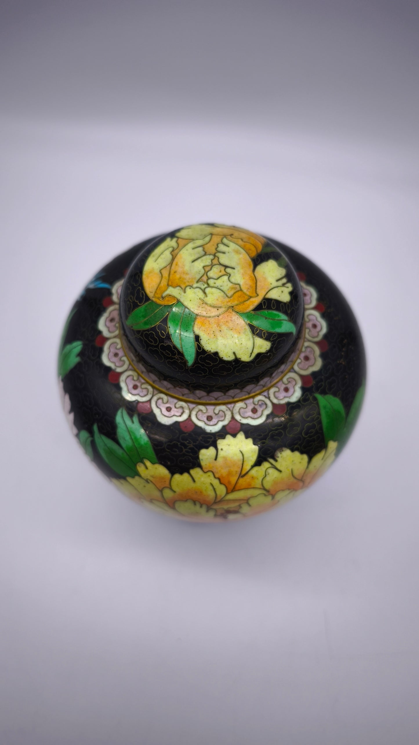 81612 Potiche cloisonné con base in legno nero