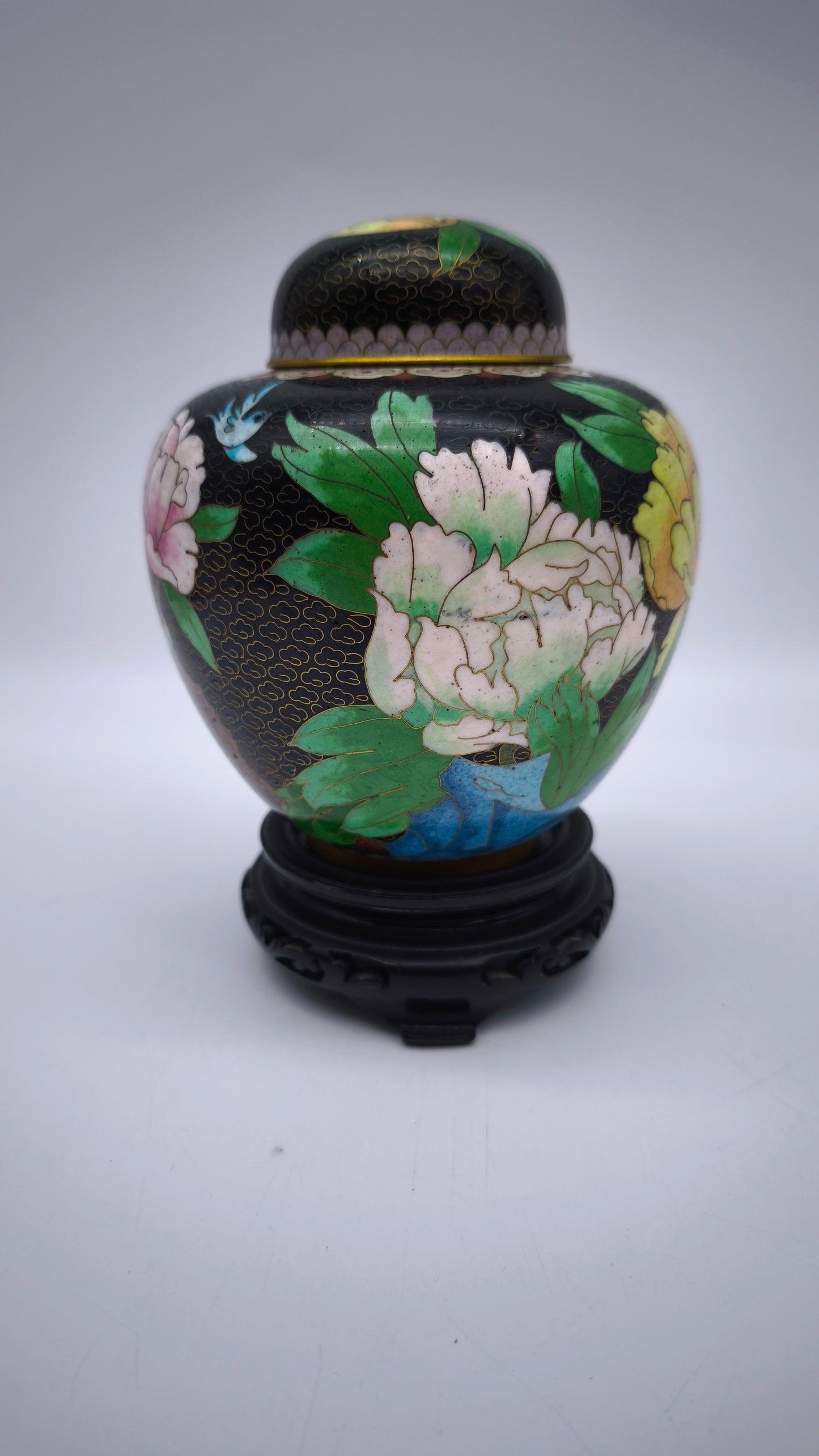 81612 Potiche cloisonné con base in legno nero