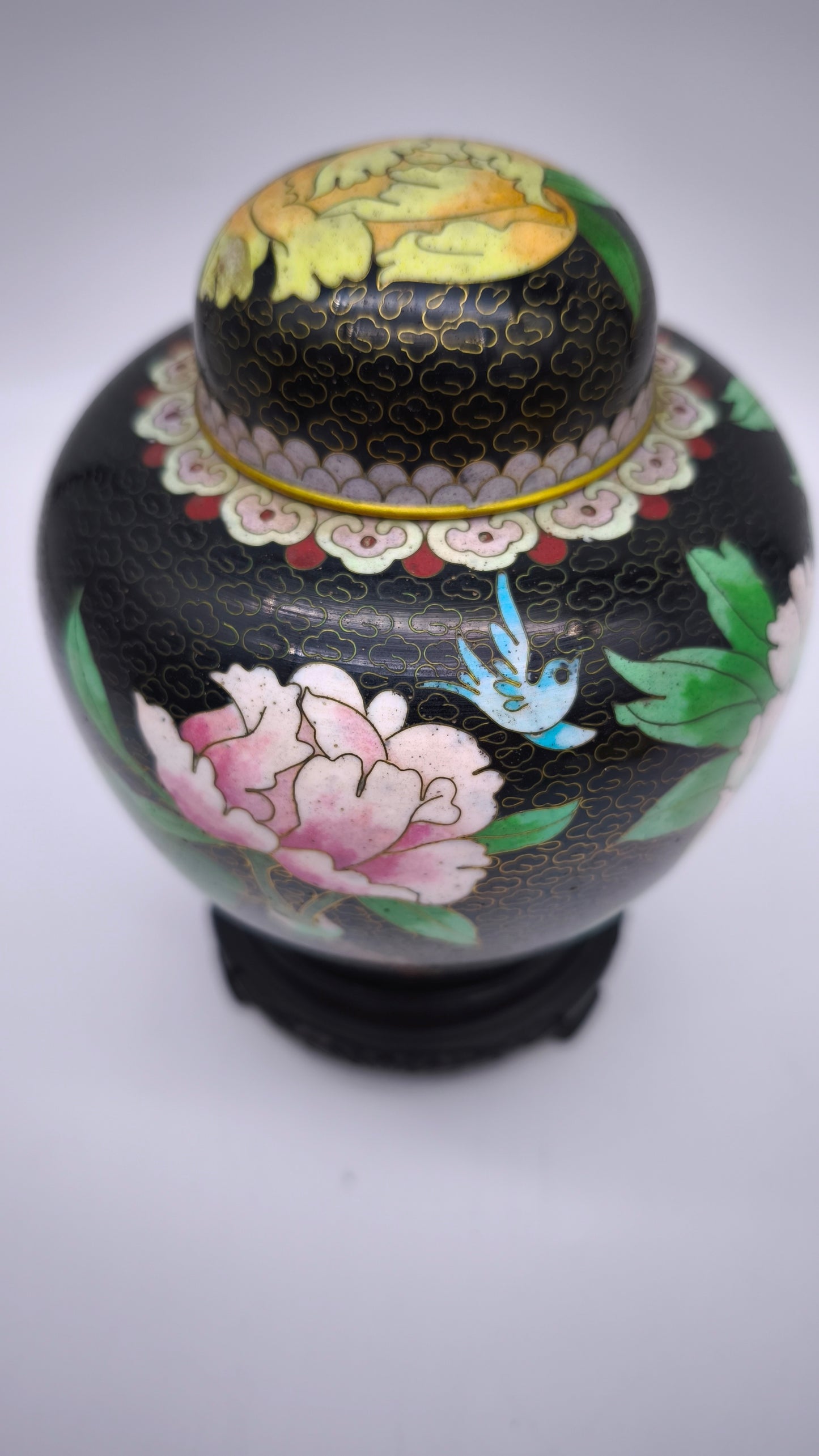 81612 Potiche cloisonné con base in legno nero