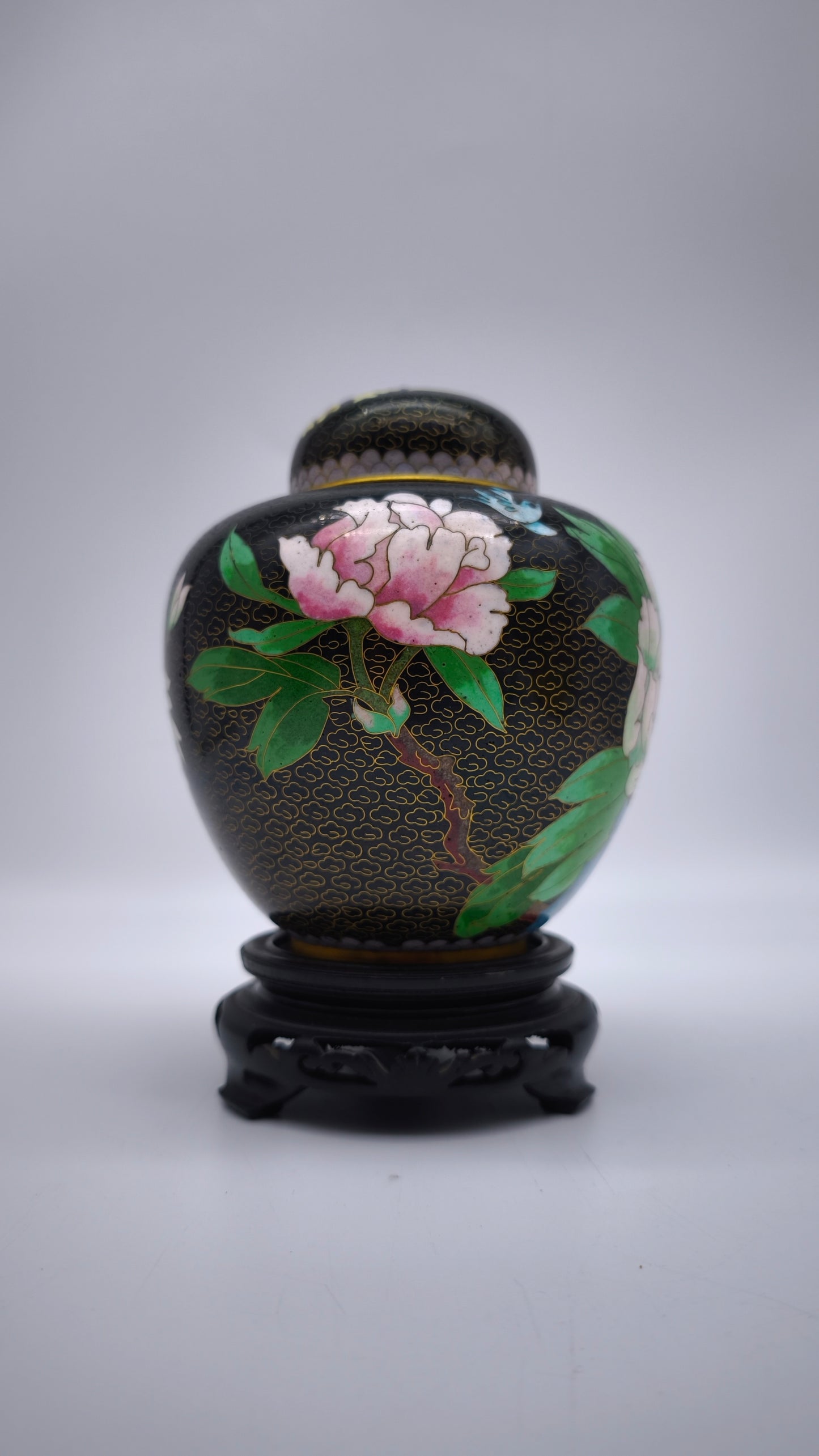 81612 Potiche cloisonné con base in legno nero