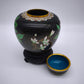 81612 Potiche cloisonné con base in legno nero