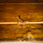 79389 Servante due sportelli in legno