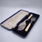 82141 Coppia di posate silver plated  da portata da pesce