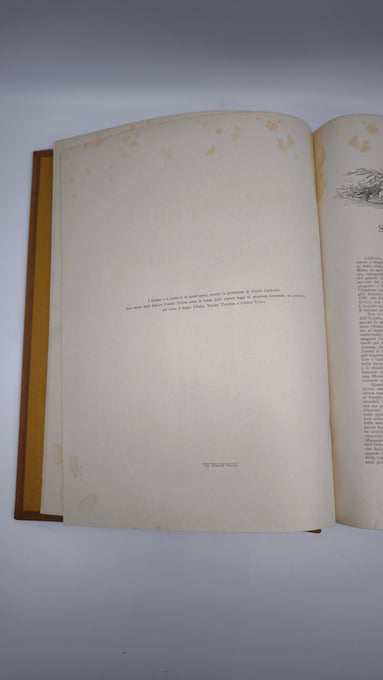 81947 Ludovico Ariosto, Orlando Furioso, Fratelli Treves Editori, Milano, 1899
