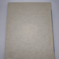 81949 Sandro Forte, Giorgio Almirante, Politica e vita, Alba, Field Educational Italia