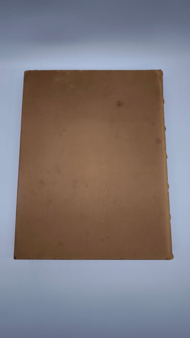 81947 Ludovico Ariosto, Orlando Furioso, Fratelli Treves Editori, Milano, 1899