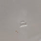 84207 Vassoio in ceramica decorata Wedgwood